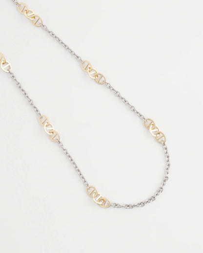 Mixed Metal Link Long Necklace